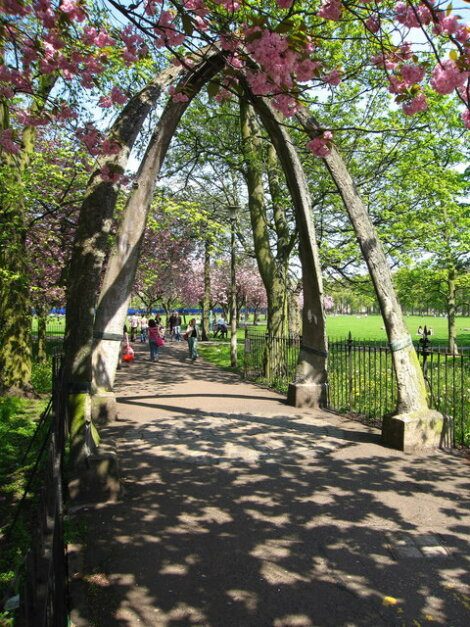 A large arch bridge in a park.