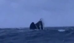 Humpback whale breaching in a choppy ocean.