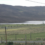 A scenic view of a rural landscape featuring a lake surrounded by rolling hills, with a line of power poles and cables in the foreground.