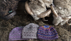 Two knitted hats with intricate patterns on the ground in front of two sheep in a barn.