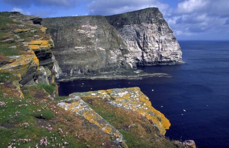 Cliffs along a coastline with layers of rock and grassy, flower-covered areas under a partly cloudy sky.