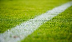 Close-up of a white boundary line on a lush green soccer field.