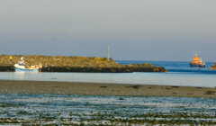 Two boats near a rocky breakwater in calm waters with seaweed visible at low tide and a clear sky.