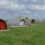 Three modern arch-shaped houses with varying facades, located on a green meadow dotted with yellow flowers under a clear sky.