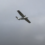 A white, single-engine airplane is flying in a cloudy sky.