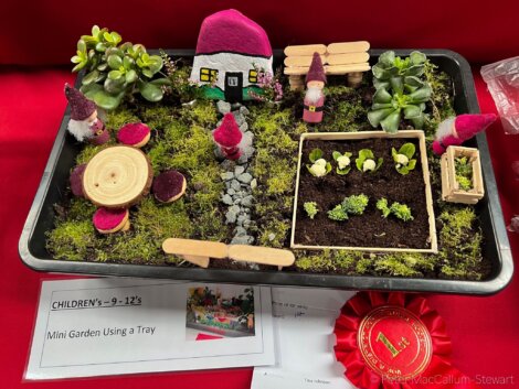 Miniature garden display on a tray featuring small plants, gnome figures, a pink-roofed house, a table set, and gardening elements. Plaque labels it as a children's project for ages 9-12 and includes a red ribbon.