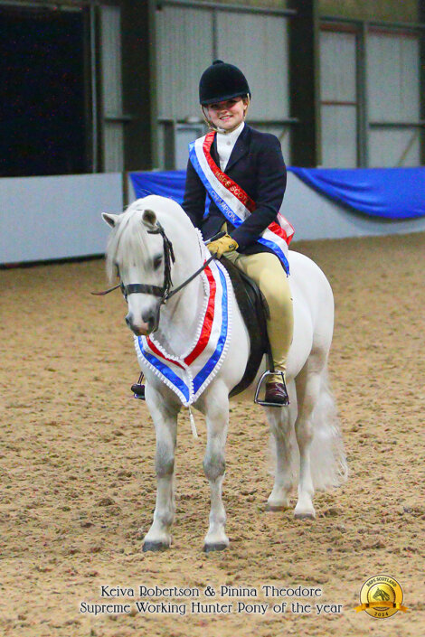 A rider is on a white horse adorned with red, white, and blue sashes in an indoor arena. The text at the bottom identifies the rider and horse as winners of "Supreme Working Hunter Pony of the Year.