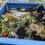 A blue planter box filled with various wilted plants, flowers, and soil.