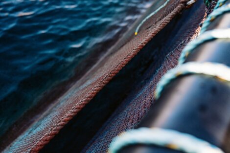 A close-up view of a fishing net draped over the side of a boat, with a body of water in the background.