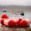 Large red buoy markers extend from the shore into the water toward a large vessel in the distance, with two smaller boats and several people working near the markers.