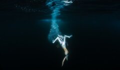 A seabird dives underwater, surrounded by bubbles and darkness, to catch a fish. The light from above highlights the scene.