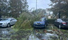 A parking lot with cars and a fallen tree lying on a blue SUV, surrounded by leaves and debris on the wet ground.