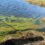 A body of water with green algae blooms near the shore. A shadow falls over the scene, and grass is visible around the water's edge.