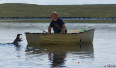 A man in a small rowboat interacts with a seal in the water. A grassy landscape is visible in the background.