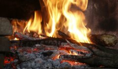 Close-up of a burning fire with bright orange flames and glowing embers, surrounded by logs and ash.