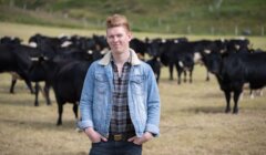 A person standing in a field with a herd of cows in the background.