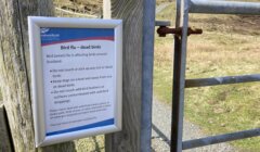 Sign on a wooden gate warns about bird flu affecting birds in Scotland, advising not to touch sick or dead birds and to keep dogs on leads.