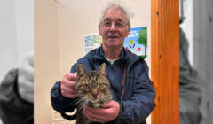 Elderly man holding a tabby cat indoors, standing in front of a wall with a colorful poster.