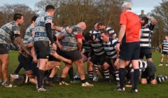 Two rugby teams in a scrum during a match on a grassy field, with a referee nearby.