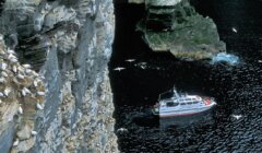A white boat floats near a steep rocky cliff covered with birds, with more birds flying above the dark water below.