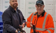 Two men stand indoors holding live lobsters, with stacked white boxes labeled "QAFISH" in the background.
