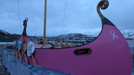 A pink Viking-style longship with decorative shields and a mast is docked near water, with snow-covered hills and buildings in the background.