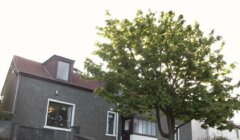 A grey stucco house with a red roof and dormer window, a large leafy tree in front, and a sloped concrete walkway leading to the entrance.