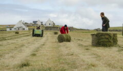 Two people work in a grassy field on Fair Isle, one kneeling beside hay bales while another stands watching, with a green baler and white