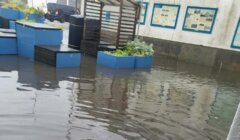 Floodwater covers a paved area beside a white building, submerging blue planters, dark wooden benches and a slatted wooden shelter.