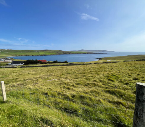 Coastal landscape with a green field, a fence in the foreground, small buildings by the shore, and clear blue sky.