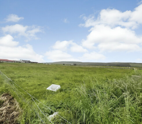 A vast green field with tall grass stretches under a partly cloudy sky, bordered by a distant structure on the left. A white object lies amidst the grass near a wire fence in the foreground.